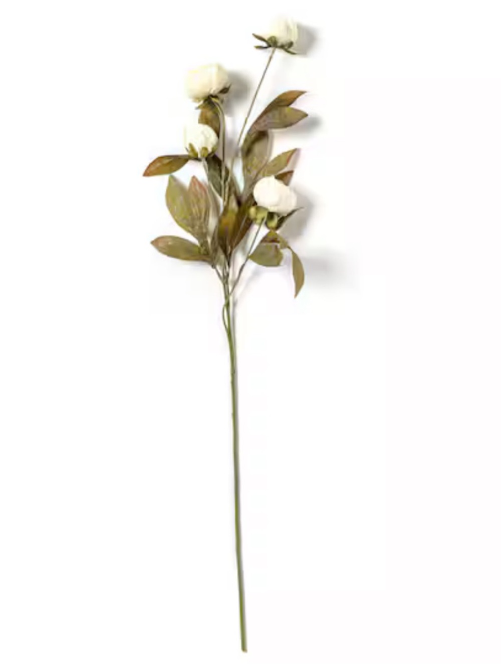 Viral Michaels Ashland Cream Peony Stems with Green Foliage- Set of 8
